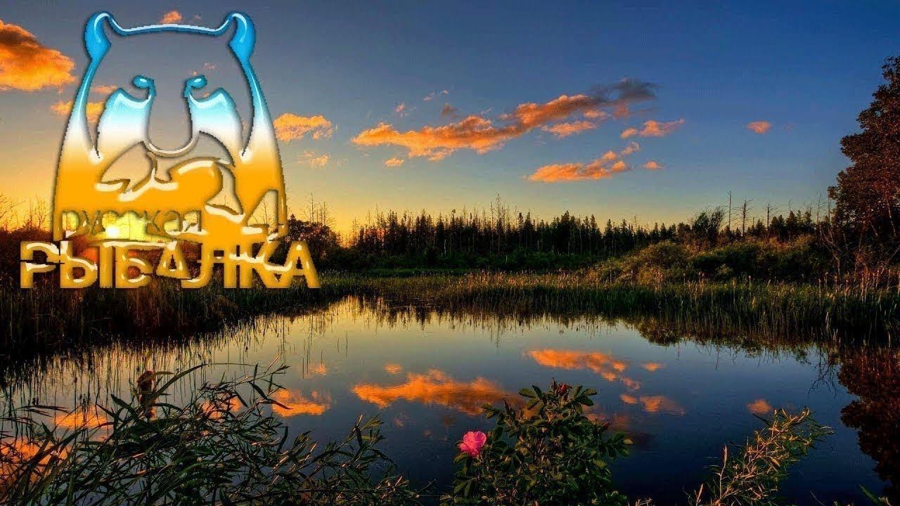 Стрим! +18 * Русская рыбалка 4 * Закрываю Паллака на море *  Дискорд в описании