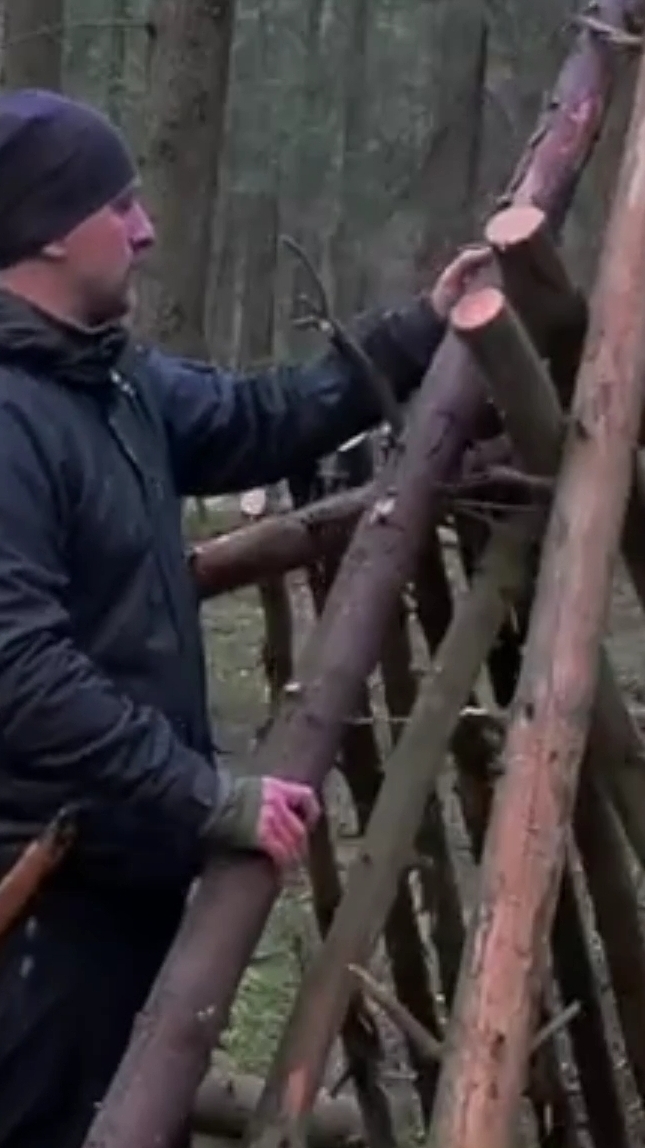 Строю БАЛАГАН в тайге Бушкрафт Тайга Выживание Карелия #shorts #выживание #бушкрафт #балаган