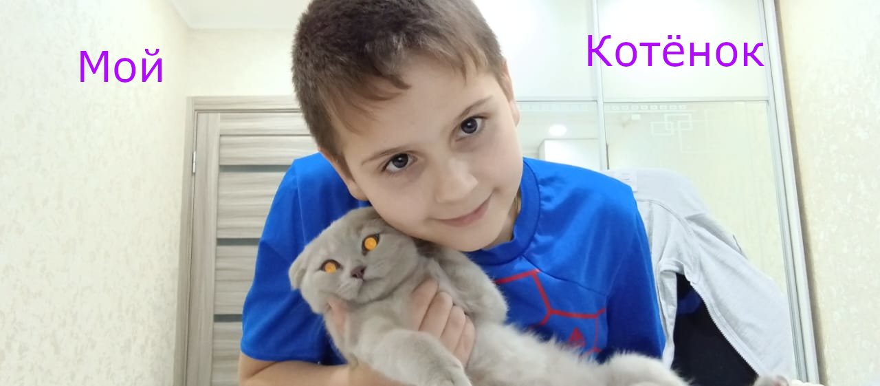 Мой котёнок