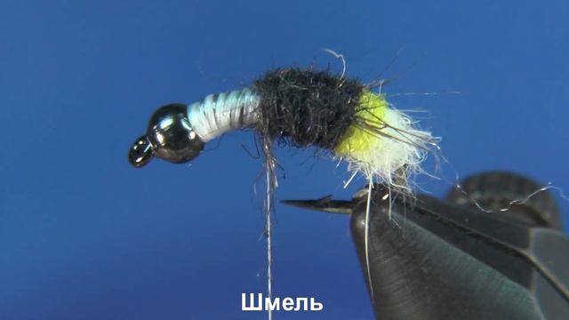 Шмель