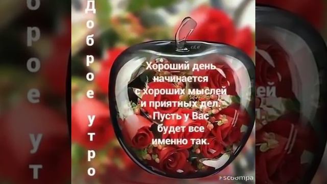 Пожелания с добрым утром и хорошим днем