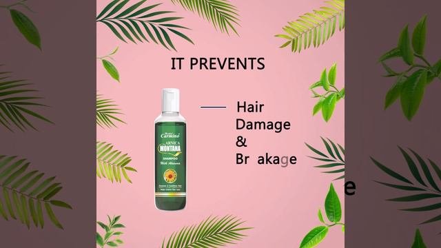 Arnika Montana Shampoo