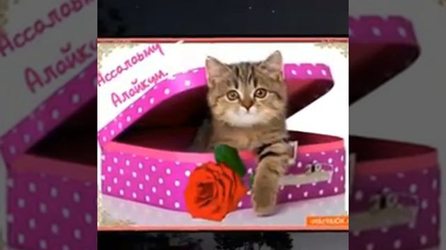 "С ПЯТНИЦЕЙ ВАС😊"