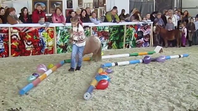 «Курсинг»Маршрут доверия. Особенно в конце.