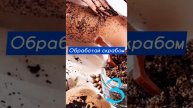ЧТО Я СДЕЛАЛ? ? Лайфхак, как правильно брить ноги ? ?
