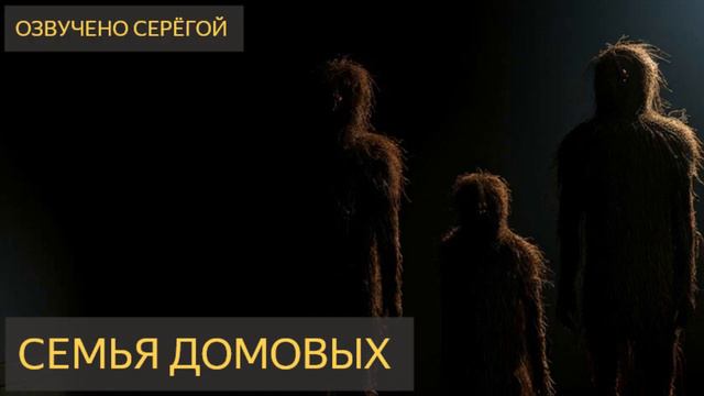 Семья домовых (Мистическая история)  - Полтергейст, барабашка, квартира, домовой, тень