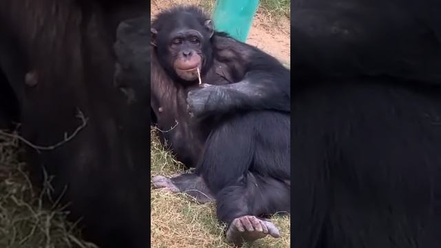 @Полу раб