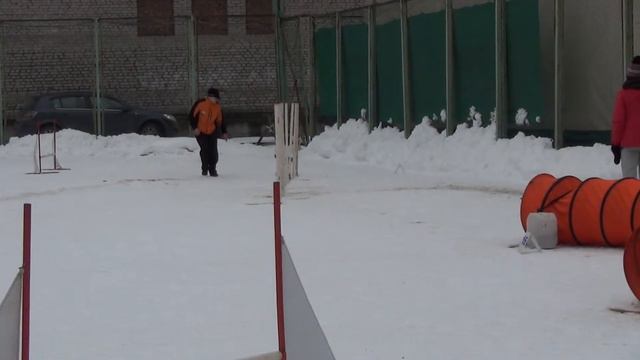 Д-Open Small - Батоврина Анжелла и той-пудель Атос