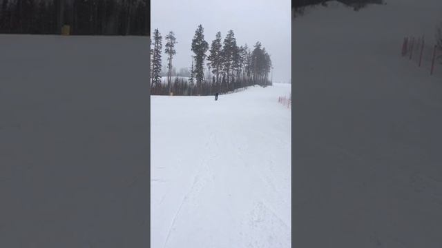 2575 SNOWSCOOT