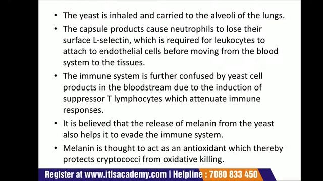 LECTURE 5 - Yeasts and molds part 2: Candiada albicans, Neuraspora , Penicillium & Trichophyton