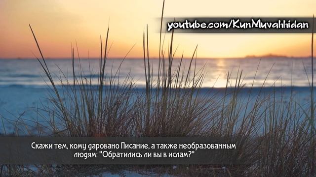 АбдурРахман ар-Рушуд. Сура 3 Семейство Имрана 18-22