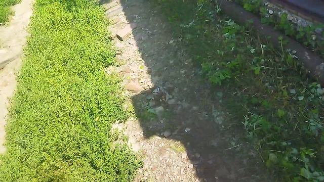 VID_20240726_140510.mp4