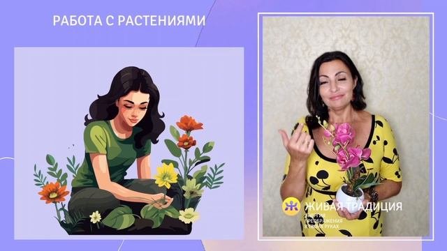 8видео Жива в работе с камнямиминералами растениями животными детьми.