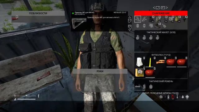 DayZ Livonia на PS4 Первый взгляд