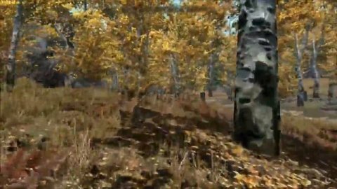 Modded Skyrim: Falskaar- CTD (Episode 7)