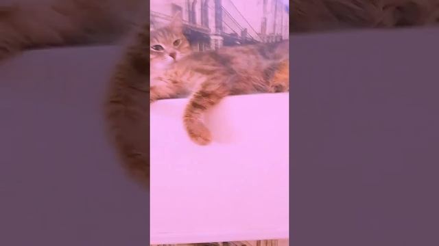 Релаксировать полезно для здоровья!!!