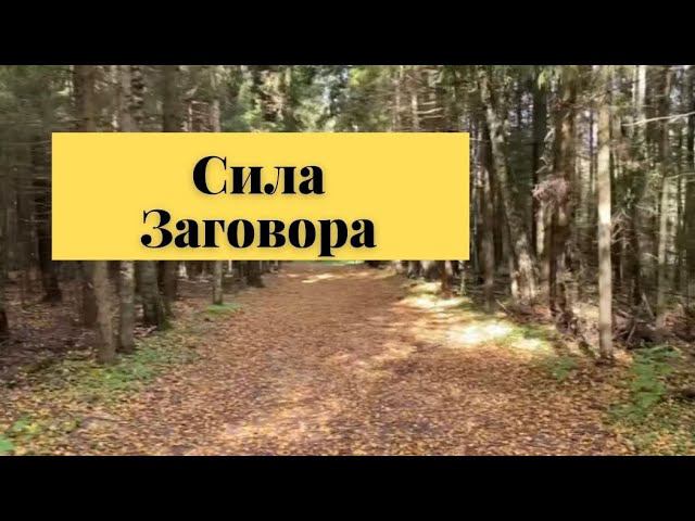 Сила заговора. Как это работает?