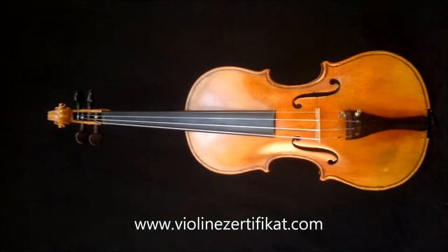 Damen Violin Cremona goldige Zeit