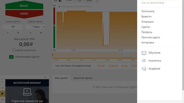 Как получить бесплатных птиц рич бердс