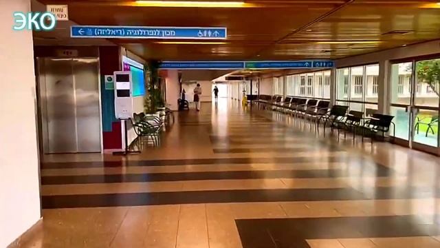 2 день цикла |Готовлюсь к подсадке замороженных эмбрионов |Последние новости