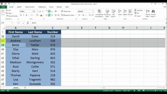 ms office excel hide rows and columns
