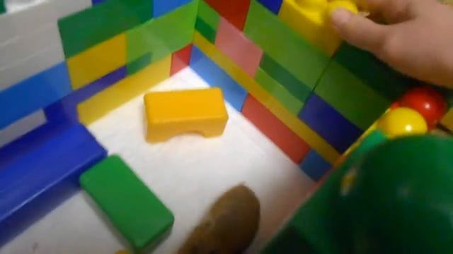 РЕАКЦИЯ КОТА НА ХОМЯКАХомяк в БАШНЕ из конструктора