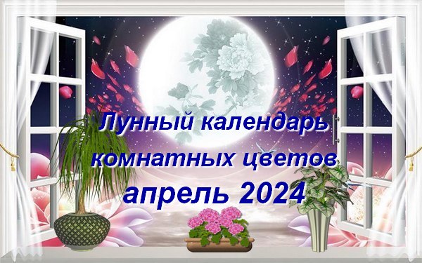 Лунный календарь комнатного цветовода на апрель 2024 года