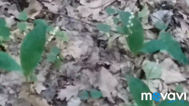 Привет народ пожалуиста не праходите мимо моего канала может и мой канал каму небудь понравится.