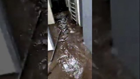 Затопило квартиры в Бразилии после проливных дождей