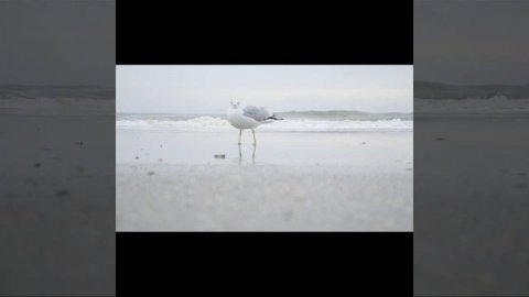 Это важно знать каждому. Тело - твой друг.