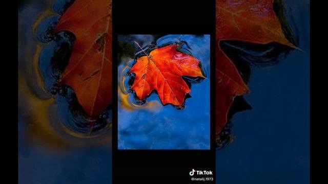 перво ночальная видео