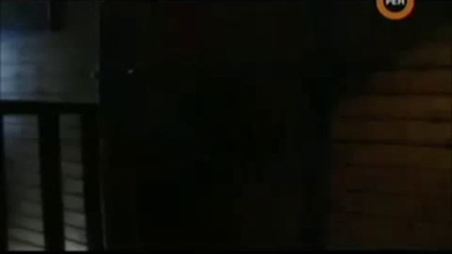 домовой похож на пуделя