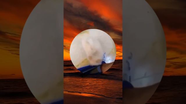 юмор, приколы