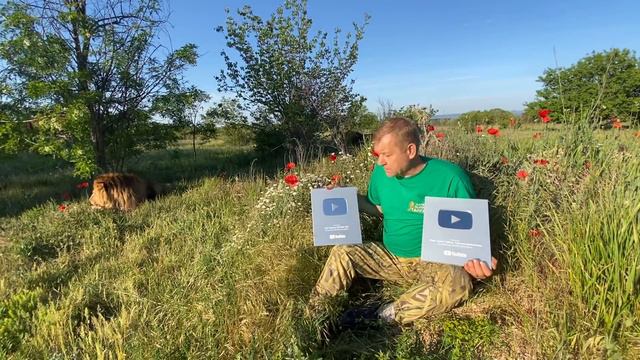 Наши ЛЬВЫ получили еще две СЕРЕБРЯННЫЕ КНОПКИ!