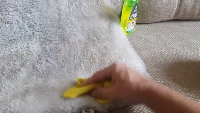 химчистка отдыхает