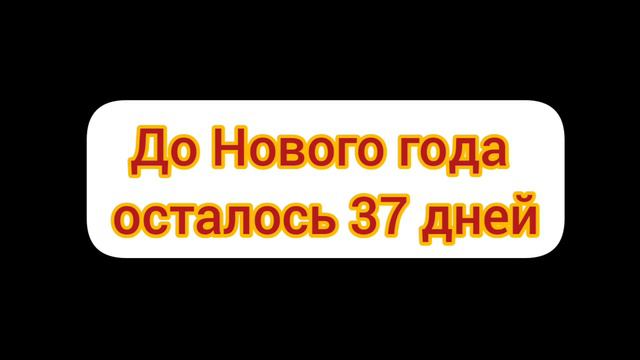 До Нового года осталось 37 дней