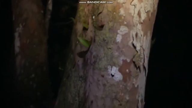 Теперь они делают всё, что прикажет им долбанный фюрер