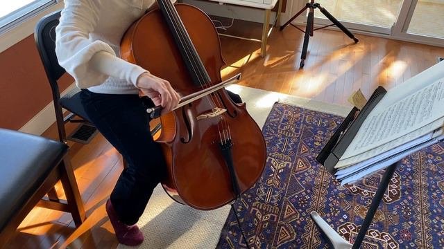 Bubenreuth ‘After E.H. Roth’ German Cello C. 1960