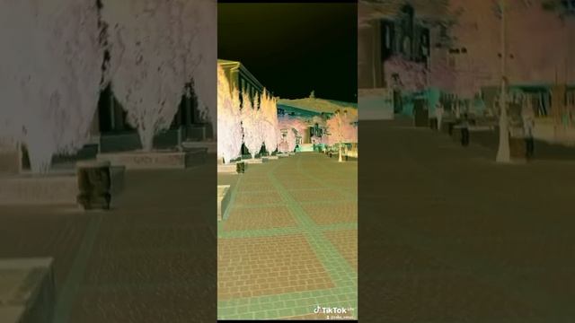 крым, севастополь