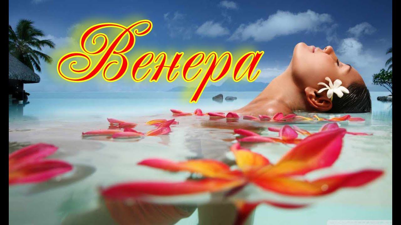 Венера в знаках зодиака. Фрагмент занятия