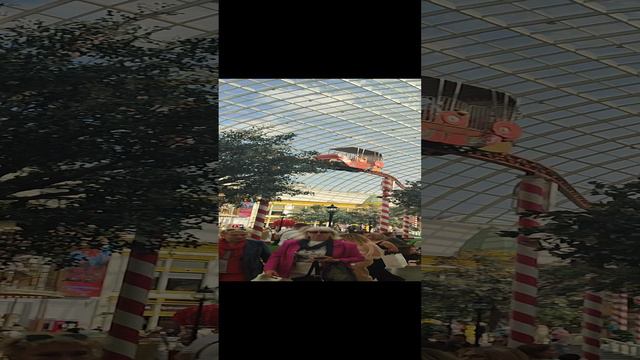1000248281.mp4 Москва Остров Мечты,⭐⭐⭐⭐⭐