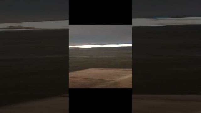 пьяные тремся у воды