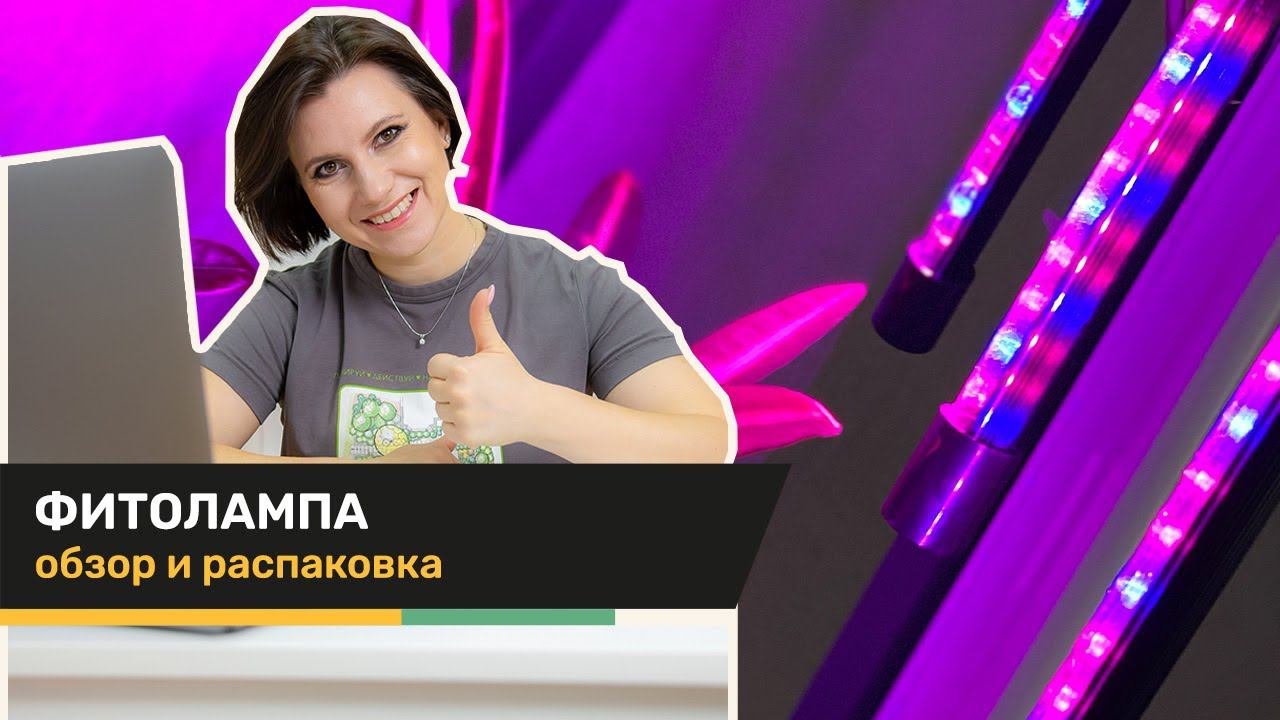 Фитолампа: какую купить | Обзор + отзыв + распаковка