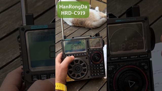 Приемник HanRongDa HRD-C919 (Retekess TR113)