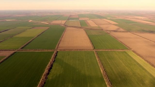 Внесение аммиачной селитры 17.03.2020