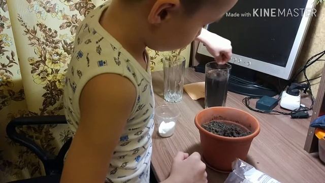 Опыт по очистке воды