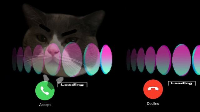 EP.119 apple ringtone 2021 // iphone 13 ringtone ??☎️#iphone #cats