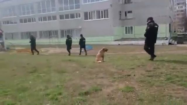 Ульяновск против масочного режима ! Изучайте законы и гоните  пособников коронобесия !