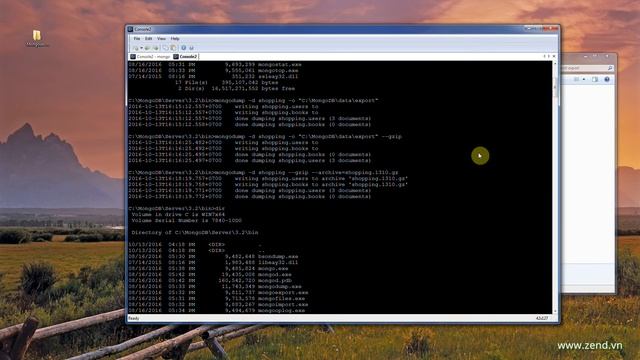 Quản lý Database & Document trong MongoDB (Bài 4.4)