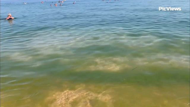 Погода в Анапе сегодня 18 июля 2024. Анапа. Пляж Афалина. Чёрное море. Отдых в Анапе 2024 сезон